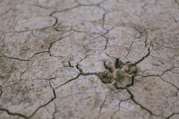 Drought Soil Drought Soil