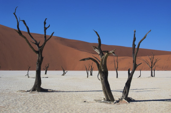 Dry deserted field background. Free | Free Photo - rawpixel