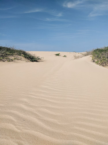 Dry Hot Arid Sand Dunes on Desert Dry Hot Arid Sand Dunes on Desert
