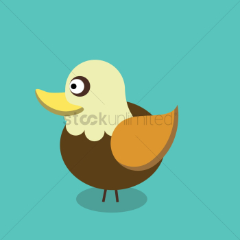 Duck Duck