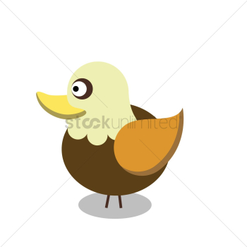 Duck Duck