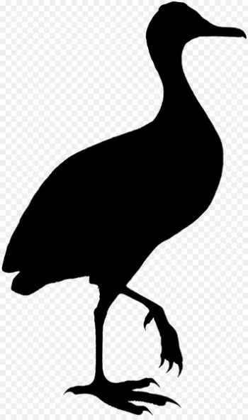 Duck Bird Goose Crane Clip art - Duck Bird Goose Crane Clip art -