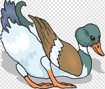 Duck Bird Pixabay, Colored duck transparent background PNG clipart Duck Bird Pixabay, Colored duck transparent background PNG clipart