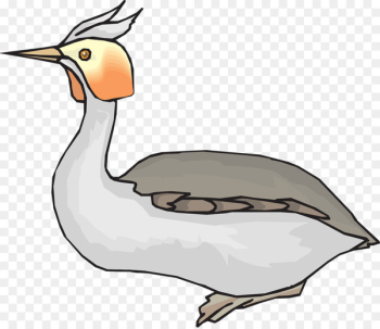 Duck Clip art Goose Bird Vector graphics - duck Duck Clip art Goose Bird Vector graphics - duck