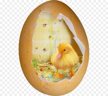 Duck Easter Eggshell - Duck House Duck Easter Eggshell - Duck House