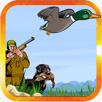Duck, Ecosystem, Labrador Retriever, Bird PNG Duck, Ecosystem, Labrador Retriever, Bird PNG