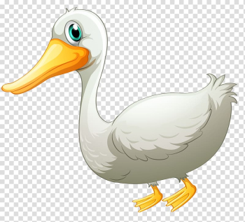 Duck Pato Branco Goose Drawing, White Duck transparent background PNG clipart Duck Pato Branco Goose Drawing, White Duck transparent background PNG clipart