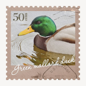 Duck postage stamp, animal collage | Free PSD - rawpixel Duck postage stamp, animal collage | Free PSD - rawpixel