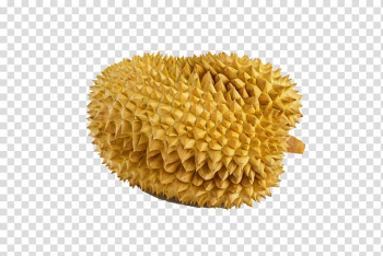 Durian fruit , Durian Thai cuisine Thai curry Fruit, Durian food on the tongue transparent background PNG clipart