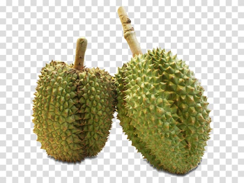 Durian Rayong Cempedak Fruit Langsat, Thai fruit transparent background PNG clipart