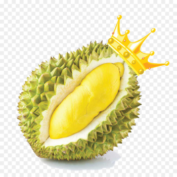 Durio zibethinus Thai cuisine Fruit Food Snack - Durian Durio zibethinus Thai cuisine Fruit Food Snack - Durian