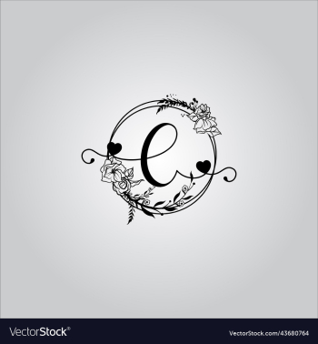 e letter logo with white background e letter logo with white background