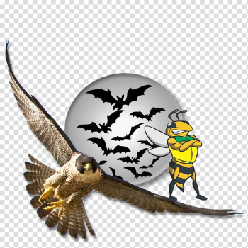 Eagle Bat Charms & Pendants Key Chains Insect, eagle transparent background PNG clipart