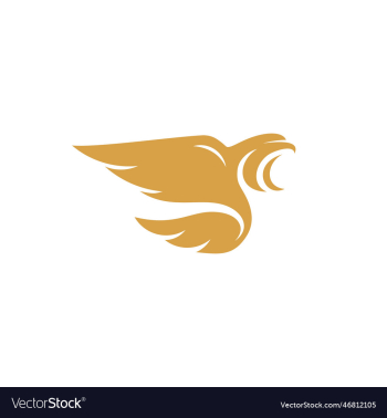 eagle bird logo template business logo eagle bird logo template business logo