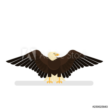 Eagle character Eagle character