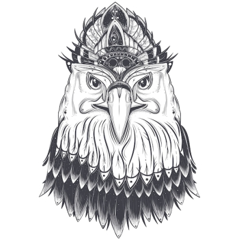 Eagle head with feather comb Eagle head with feather comb