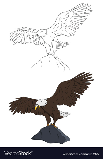 eagle set eagle set