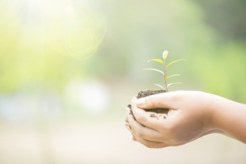 Earth day in the hands of trees growing seedlings. female hand holding tree on nature field grass. Free Photo