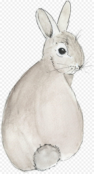 Easter Bunny Domestic rabbit Hare Vertebrate - watercolor bunny 