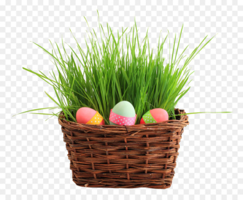 Easter Bunny Easter egg Basket - Easter Egg Basket Easter Bunny Easter egg Basket - Easter Egg Basket