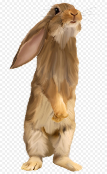 Easter Bunny Hare Squirrel Rabbit - Brown cute bunny Easter Bunny Hare Squirrel Rabbit - Brown cute bunny