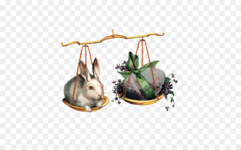 Easter Bunny Leporids Rabbit Easter egg - Cute little bunny Easter Bunny Leporids Rabbit Easter egg - Cute little bunny