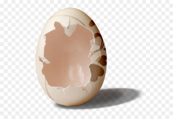 Easter egg Chicken egg - Broken egg shell Easter egg Chicken egg - Broken egg shell