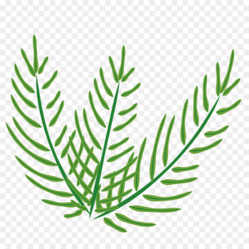 Easter Illustration - Easter palm leaves 