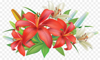 Easter lily Arum-lily Flower Clip art - plumeria Easter lily Arum-lily Flower Clip art - plumeria