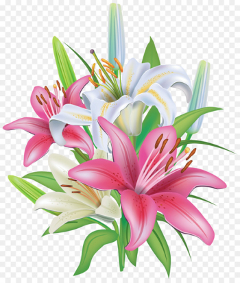 Easter lily Tiger lily Flower Clip art - lily Easter lily Tiger lily Flower Clip art - lily