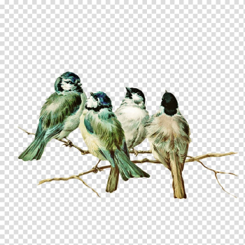 Eastern bluebird Postcard , Flock of birds transparent background PNG clipart Eastern bluebird Postcard , Flock of birds transparent background PNG clipart