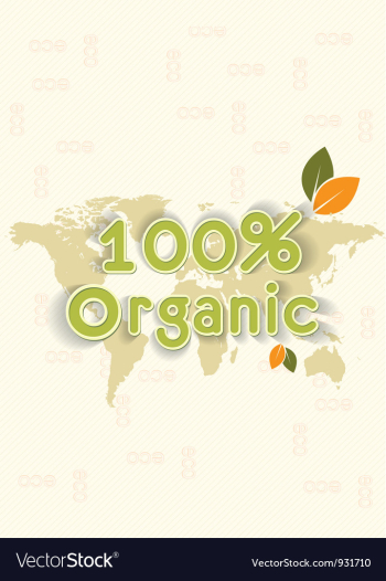 Eco friendly design vector image Eco friendly design vector image