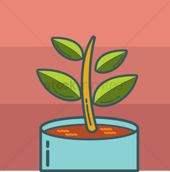 Eco plant