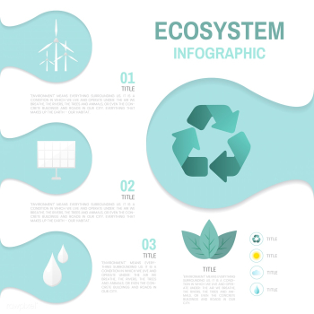 Ecosystem infographic environmental conservat.. | Free stock vector - 524525 Ecosystem infographic environmental conservat.. | Free stock vector - 524525