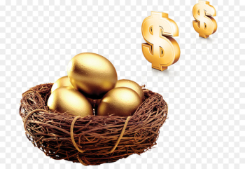 Edible birds nest Egg Bird nest - Nest money Edible birds nest Egg Bird nest - Nest money