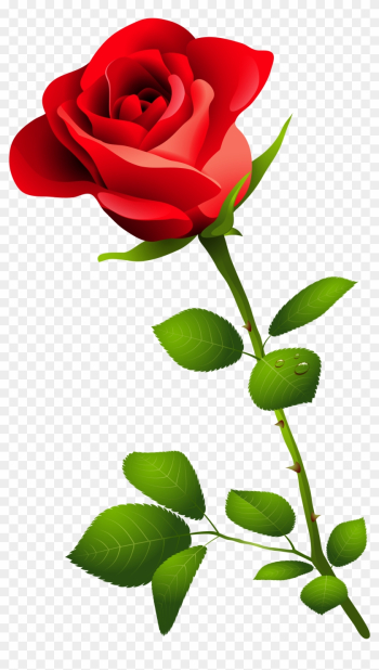 Edit And Free Download Red Rose With Stem Png Clipart - Happy Rose Day Image Download