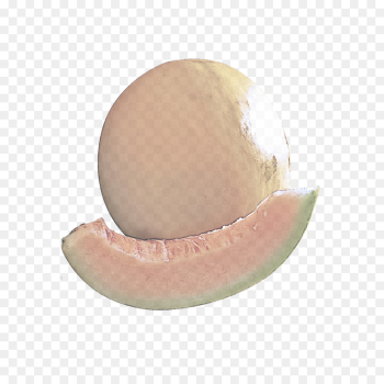 Egg Egg