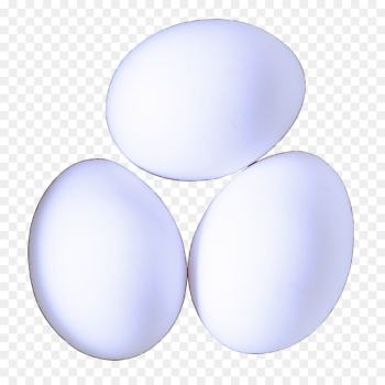 Egg Egg