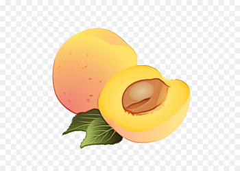 Egg Egg