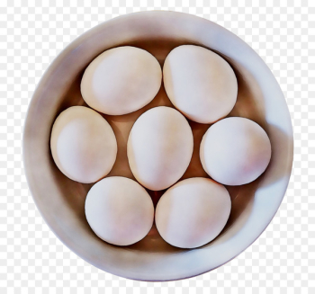 Egg Cookers Easter egg Food Egg Genie - Egg Cookers Easter egg Food Egg Genie -
