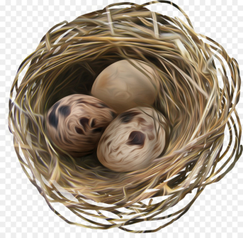 Egg Nest Easter - Nest Egg Nest Easter - Nest