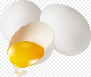 Egg white Yellow Yolk - Vector white egg yolk Egg white Yellow Yolk - Vector white egg yolk