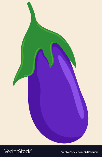 eggplant bright vegetable violet eggplant bright vegetable violet