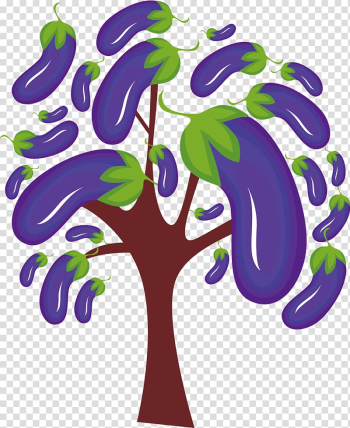 Eggplant Illustration, Eggplant tree transparent background PNG clipart