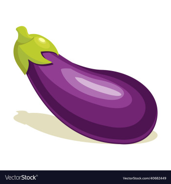 eggplant vegetable eggplant vegetable