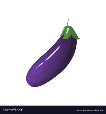 eggplant vegetable icon eggplant vegetable icon