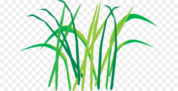 Egoel, Leaf, Plant Stem, Grass, Plant PNG Egoel, Leaf, Plant Stem, Grass, Plant PNG