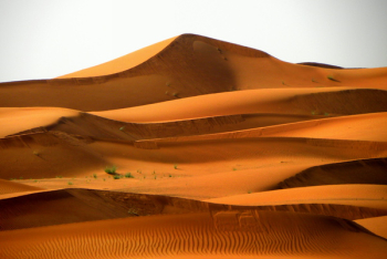 Egypt Desert Egypt Desert