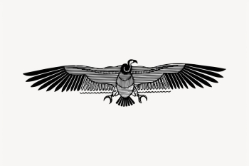 Egyptian vulture illustration clipart vector. | Free Vector - rawpixel Egyptian vulture illustration clipart vector. | Free Vector - rawpixel