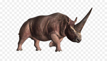 Elasmotherium Horn Unicorn Prehistory Woolly rhinoceros - Rhino Creative 